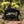 Load image into Gallery viewer, Black Gold