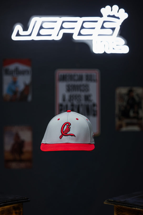 EHS 2025 Baseball Cap - Grey